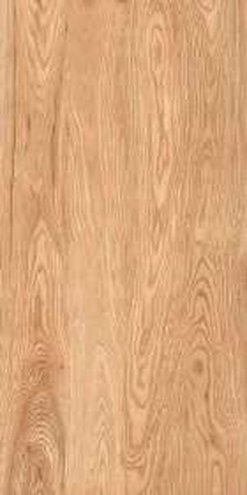 Timber Wood Natural — Matt finish, 600 x 1200 mm